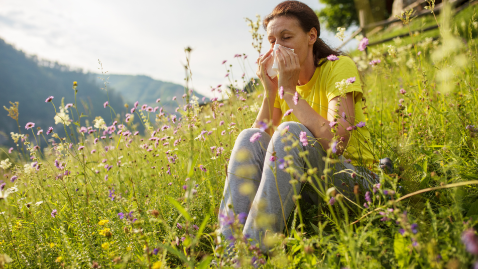 pollen fő