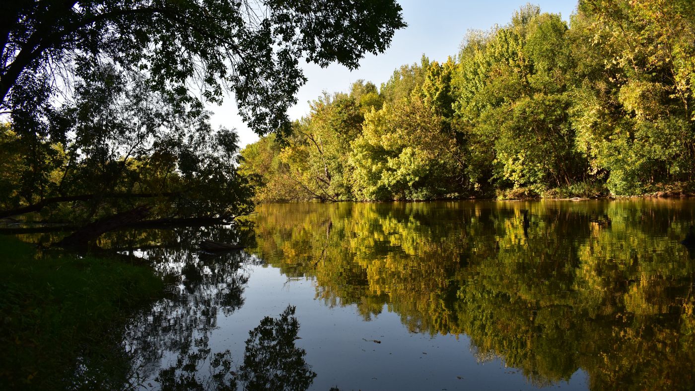 Gemenci erdő – Vadregényes felüdülés a kánikulában