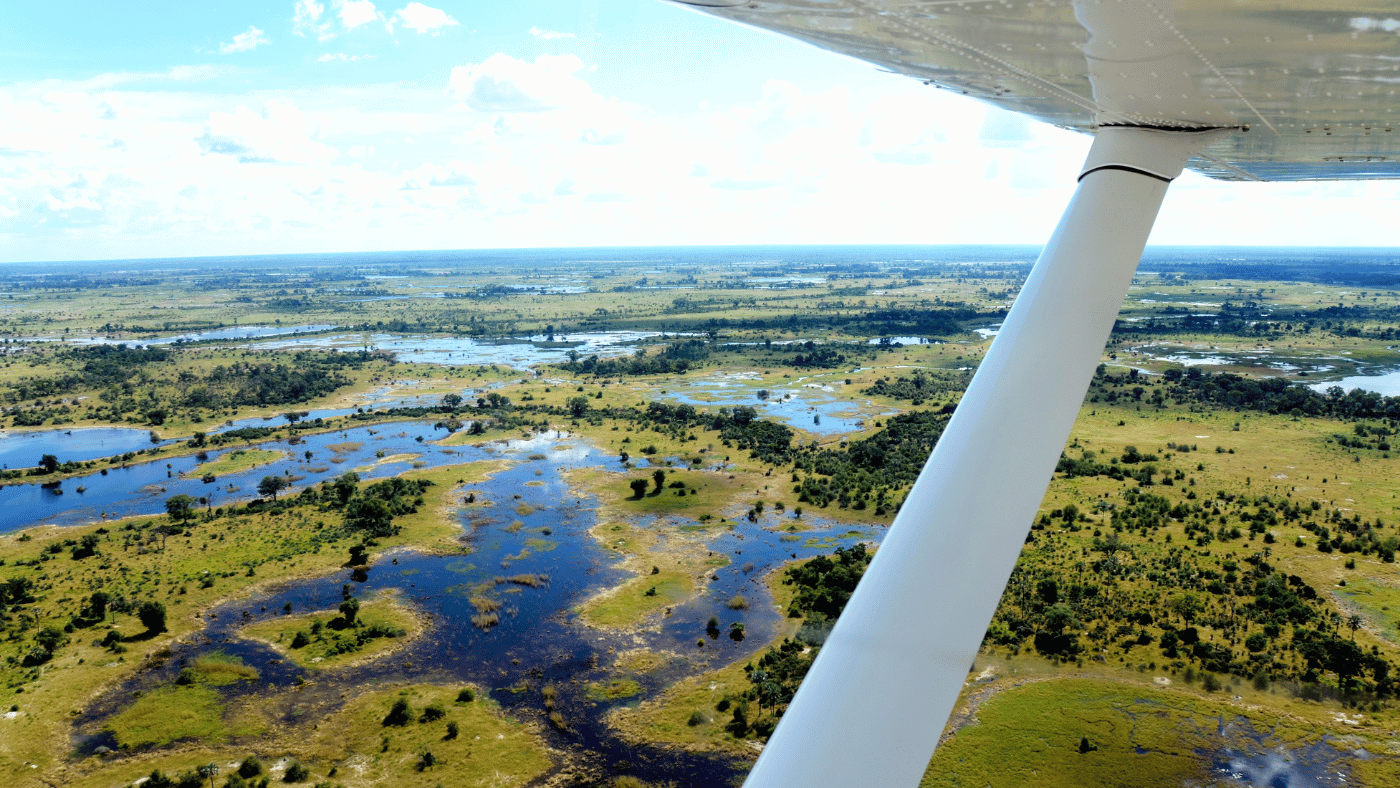 Torkolat a sivatagban: a csodálatos Okavango-delta