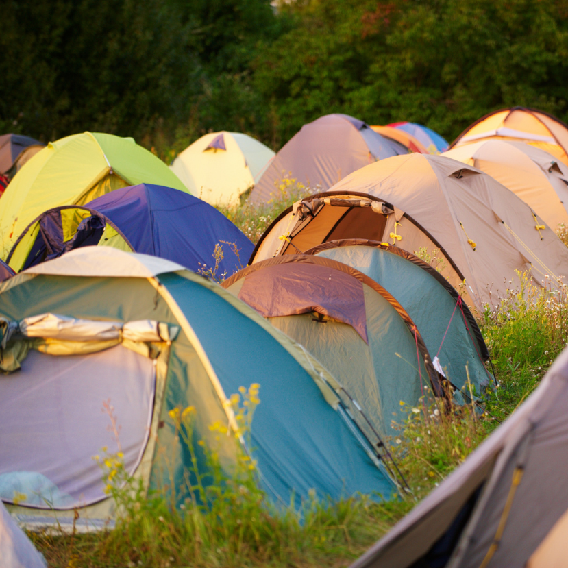 Begyűjtötte és újrahasznosítja a Sziget hátrahagyott sátrait a Máltai Szeretetszolgálat