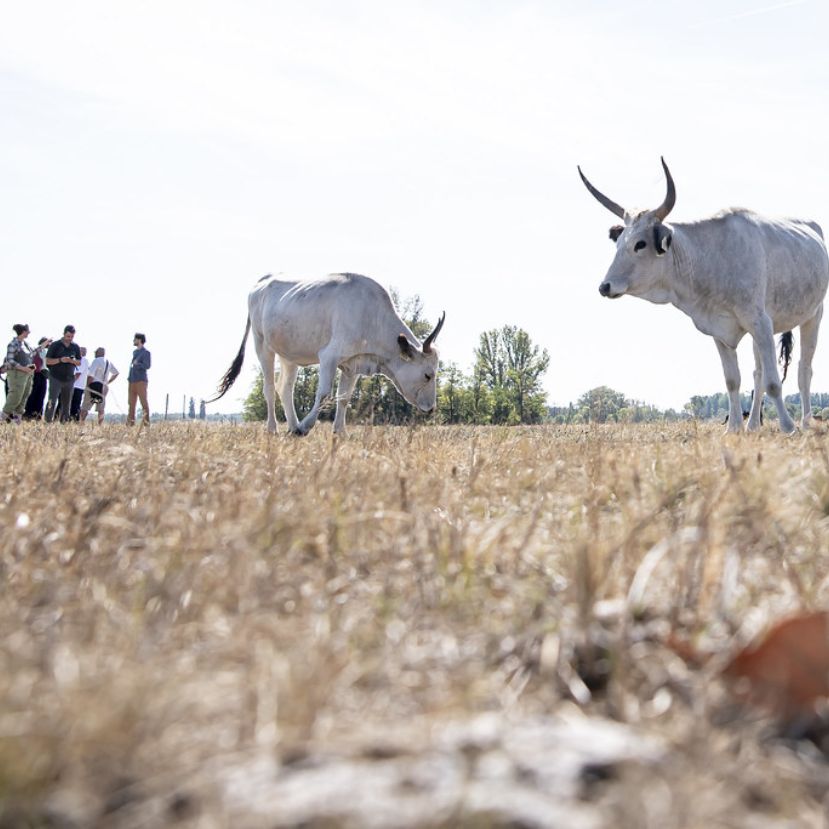 A biogazdálkodás bevált megoldásokat kínál a fenntartható agrár-élelmiszeripari átállásban 