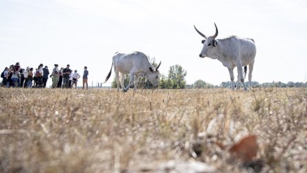 A biogazdálkodás bevált megoldásokat kínál a fenntartható agrár-élelmiszeripari átállásban 