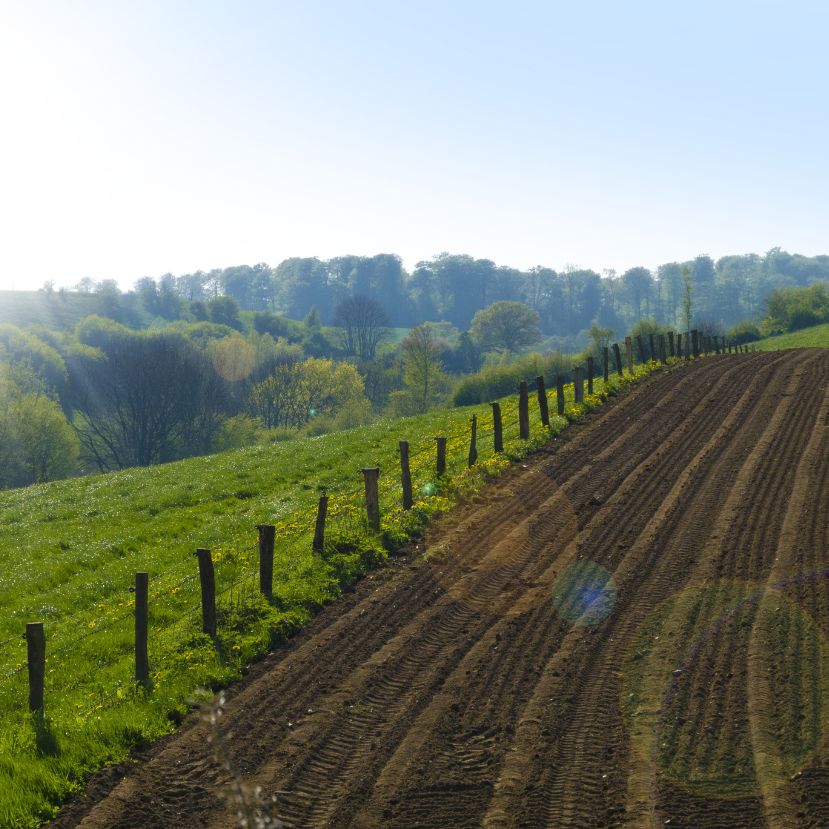 Magyar vállalat egy nemzetközi agrárzöldítési verseny nyertesei között