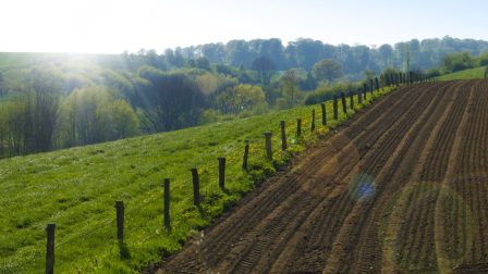 Magyar vállalat egy nemzetközi agrárzöldítési verseny nyertesei között