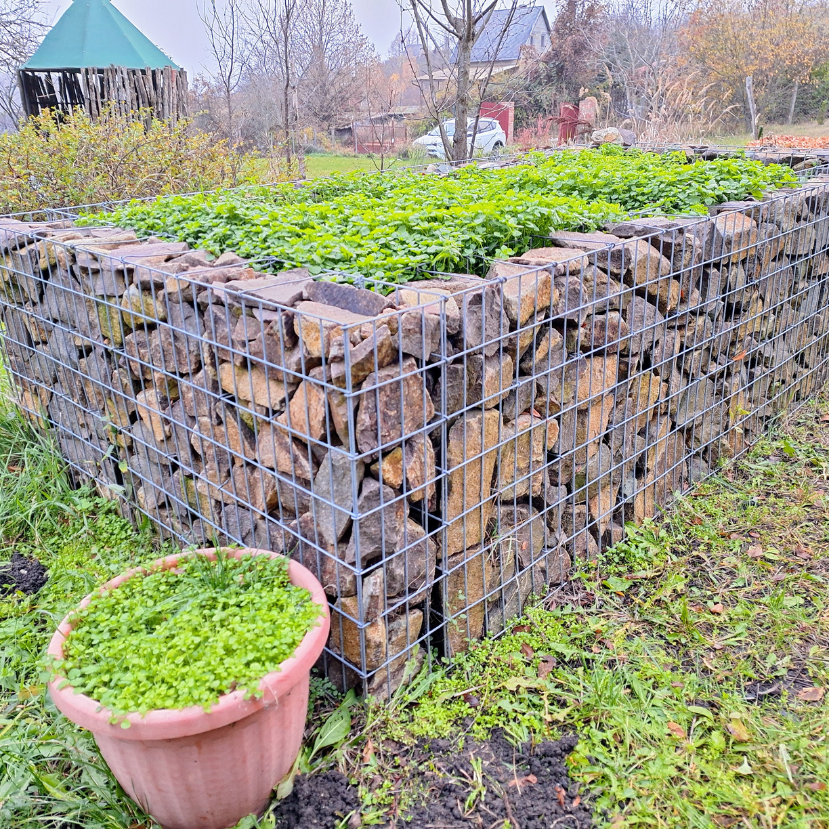 Magaságyás-építés lépésről lépésre 1. – Miből készülhet az ágyáskeret?