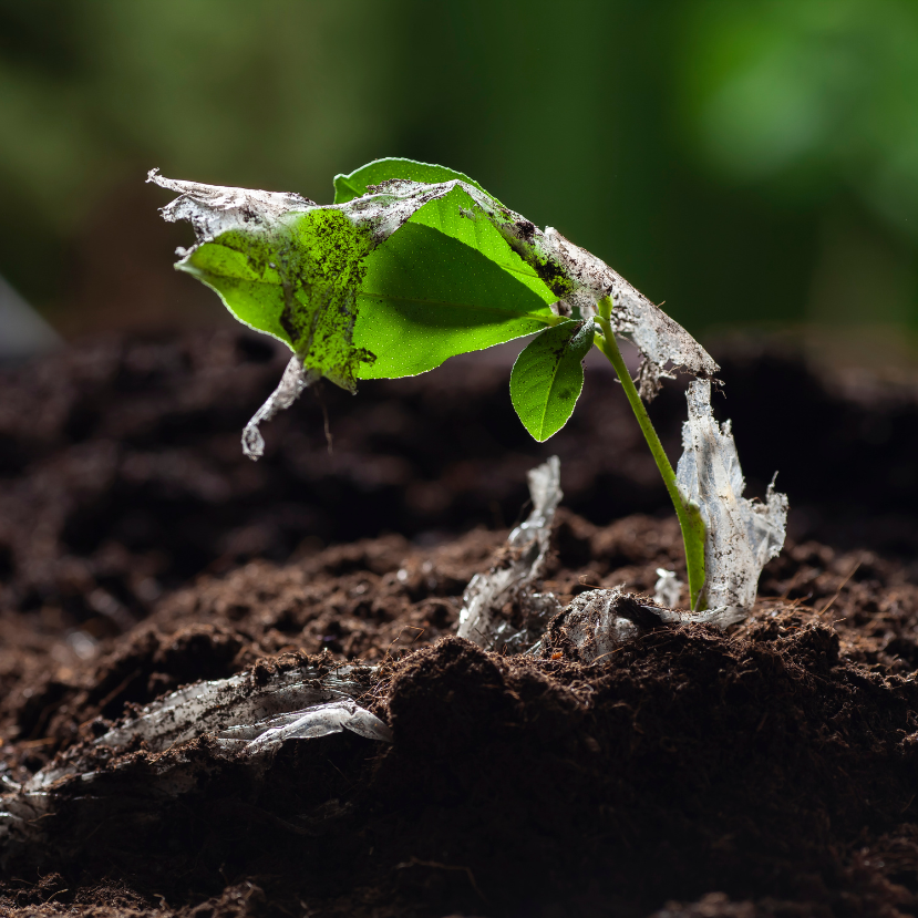 Tönkreteszed a talajt, ha műanyaggal takarod!