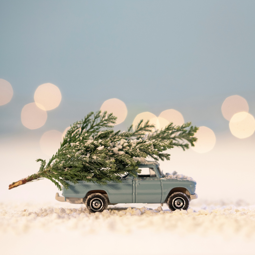 Ökológiai szempontból jobb a valódi fenyő, mint a mű