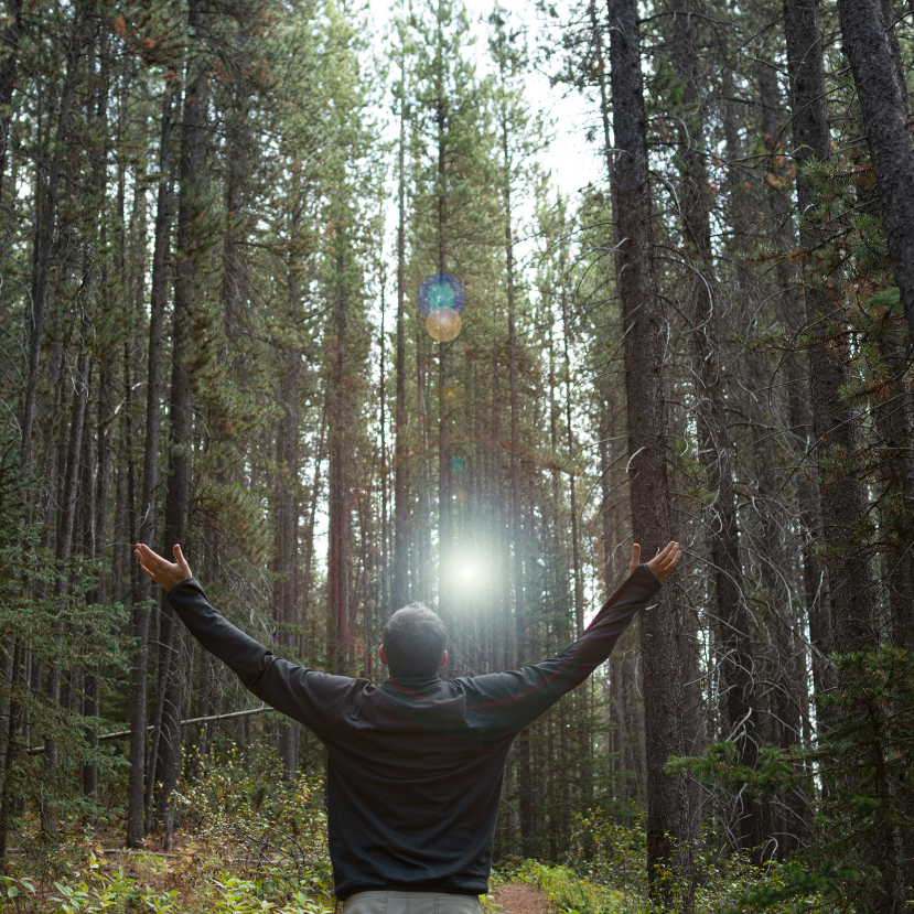 Az erdők fennmaradása össztársadalmi érdek