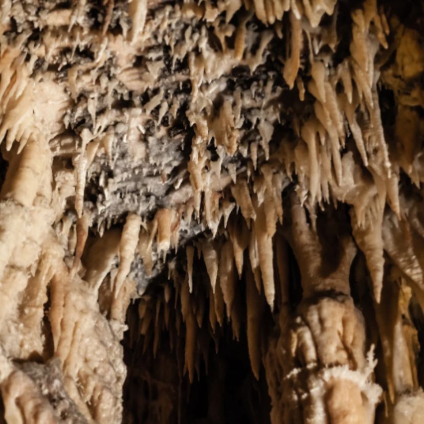 Ritka élőhelyeket mentenek meg Aggteleken