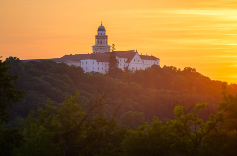 Megmenthető a Pannonhalmi Főapátság könyvtára a kenyérbogár-támadás után?
