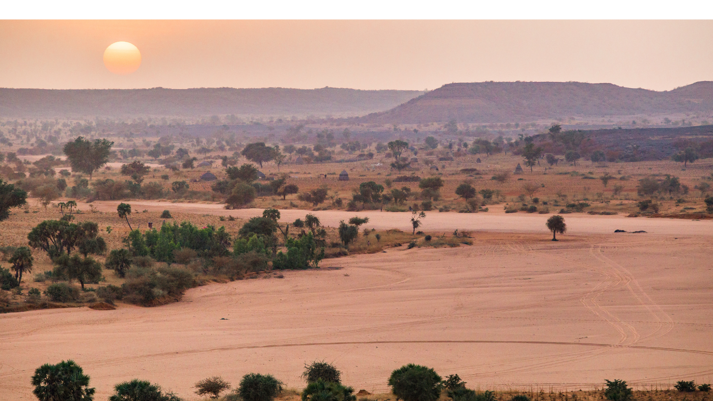 Erdőkertek menthetik meg az afrikai termőföldeket