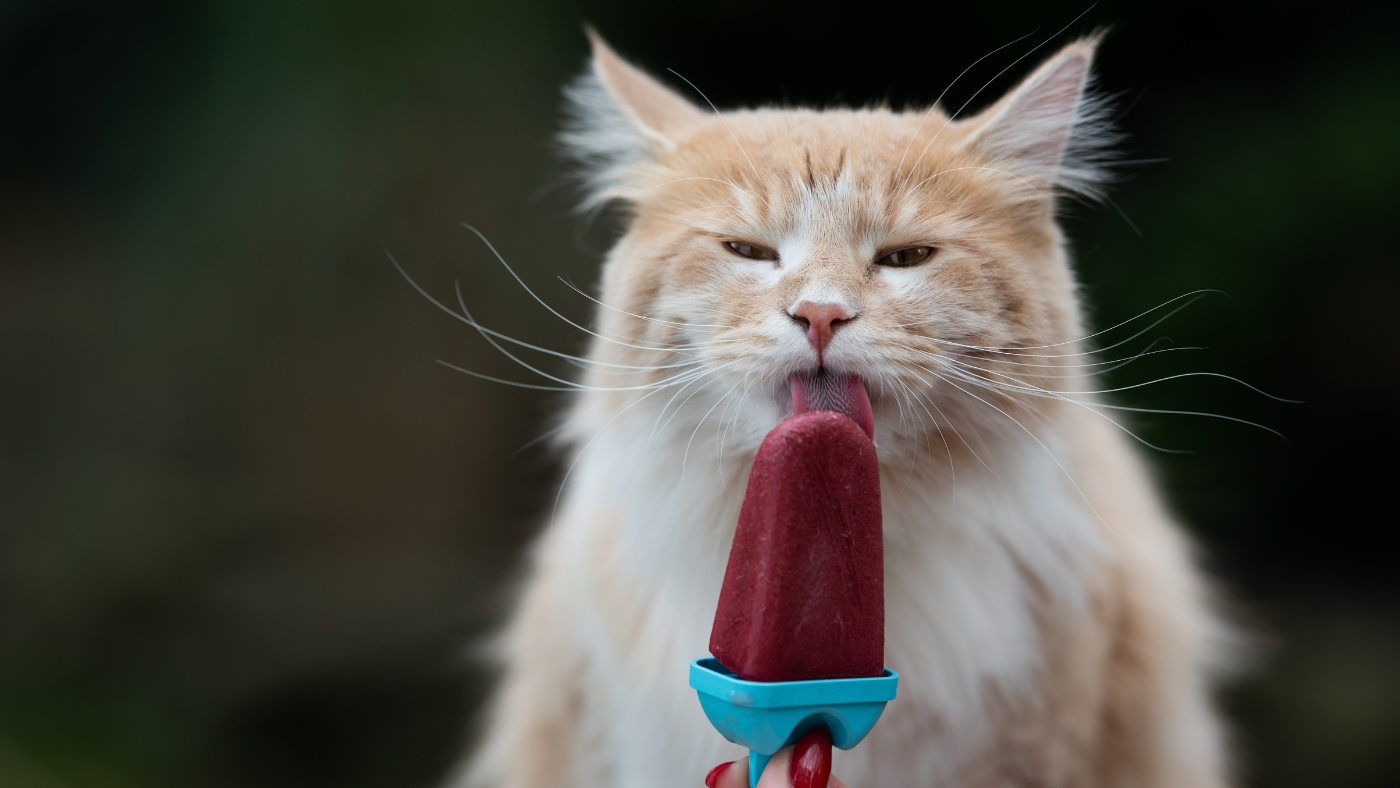 Cukormentes fagyi – Így lehet egészséges a nyári desszerted!