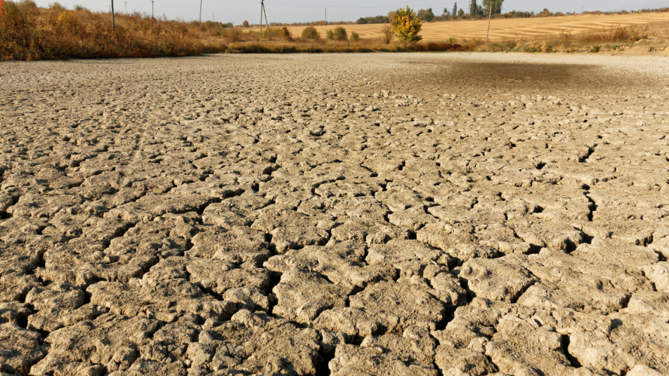 kiszáradt tó