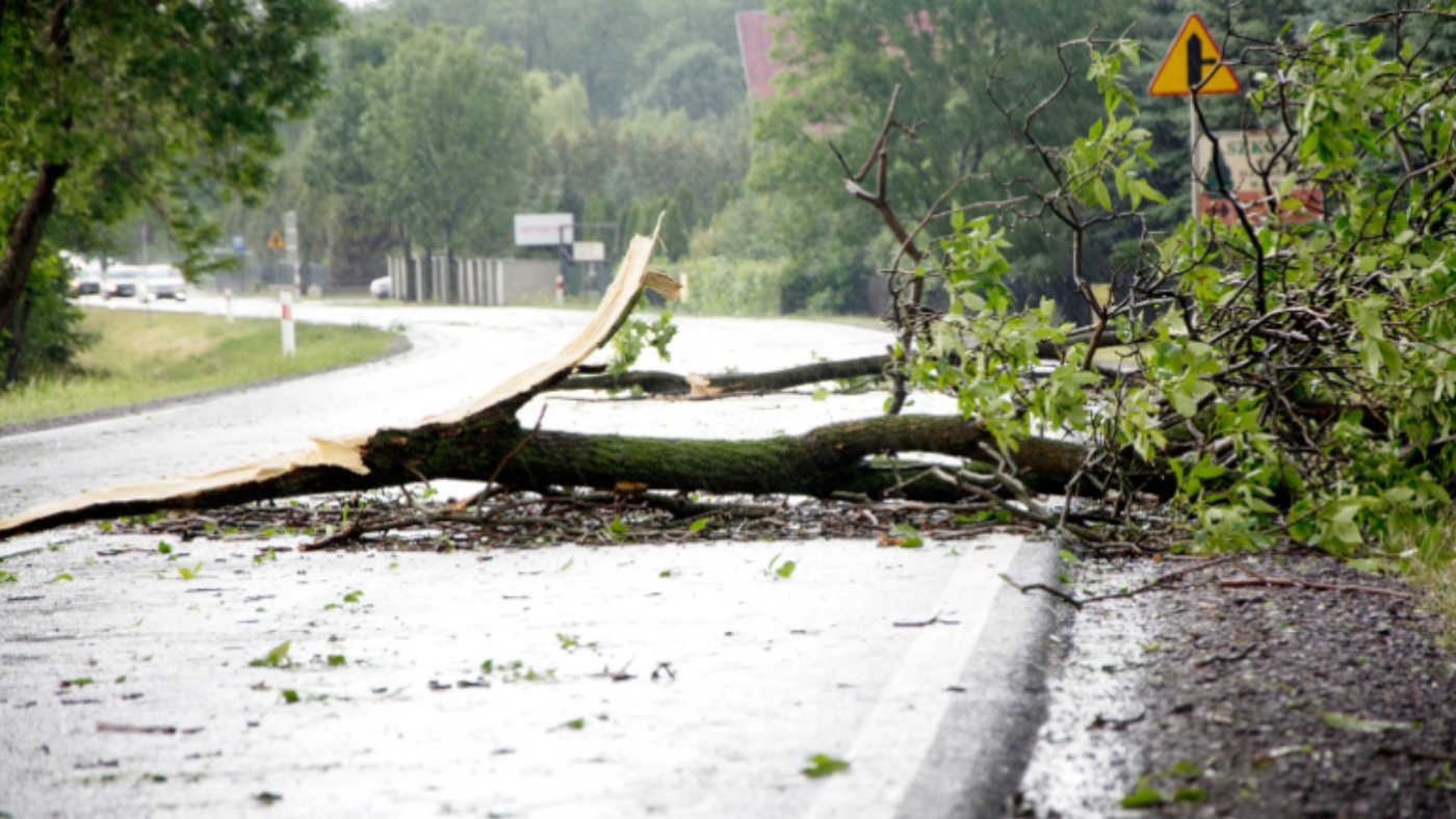 Nagy pusztítást végzett a tegnapi vihar