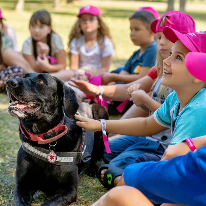 Állatokkal a gyermekekért