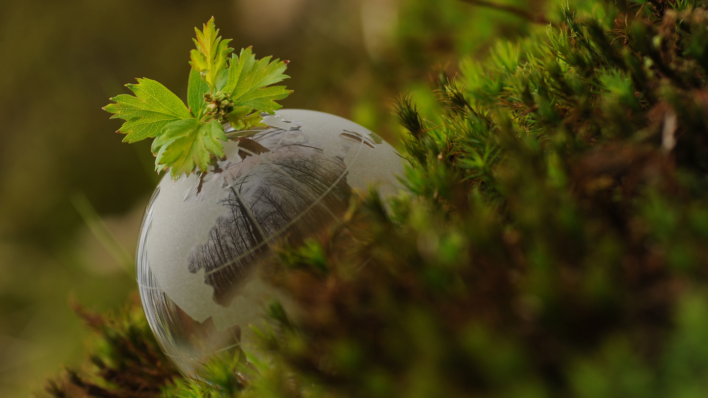 Nagy támogatást biztosít a LIFE program, érdemes pályázni!