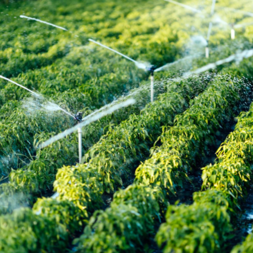 Új öntözésfejlesztési források nyílnak meg szeptemberben