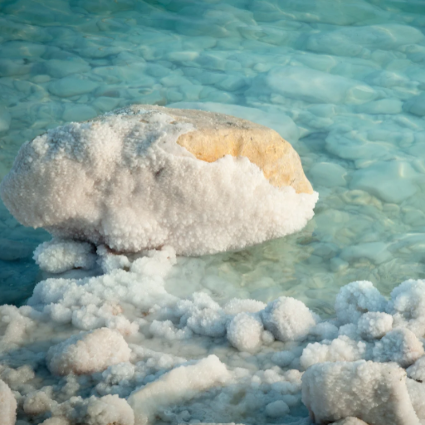 Egyre fontosabbá válhat a sótalanítás