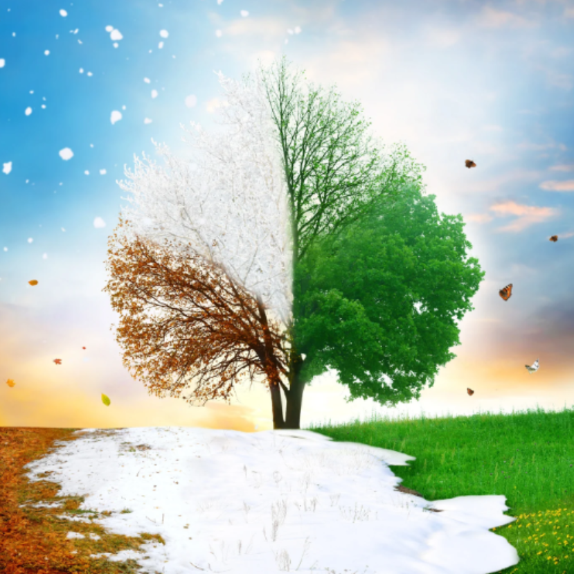 Vajon új nevet kell adni az évszakoknak a klímaváltozás miatt?