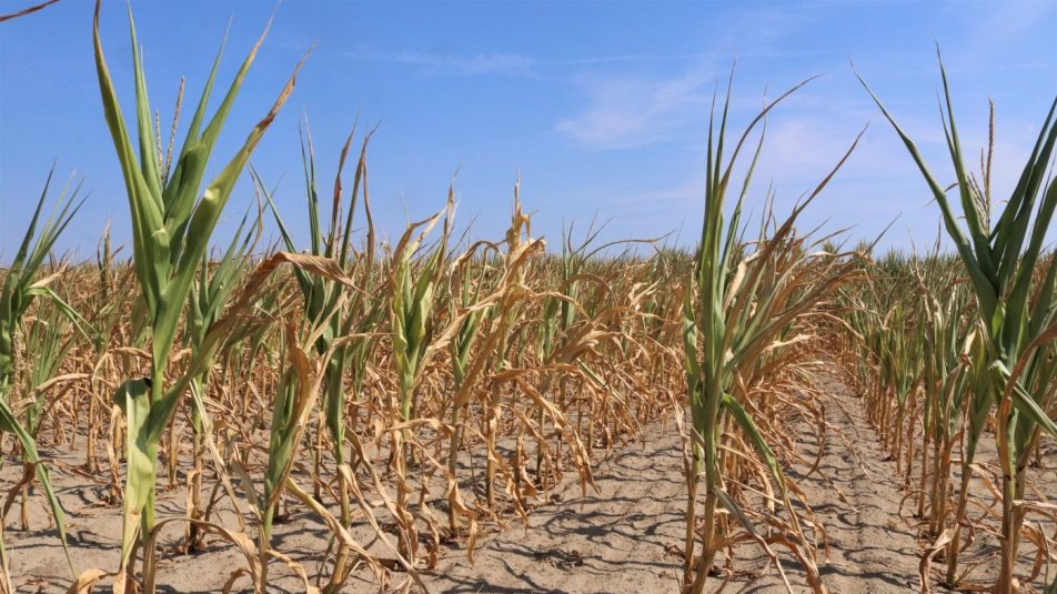 Foto_Samu_Andrea_WWF_01