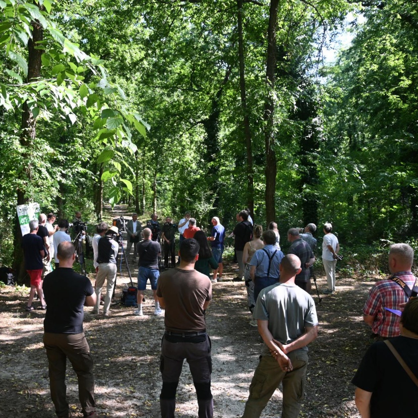 Zöldebb jövőt kap Kőbánya városi erdeje 