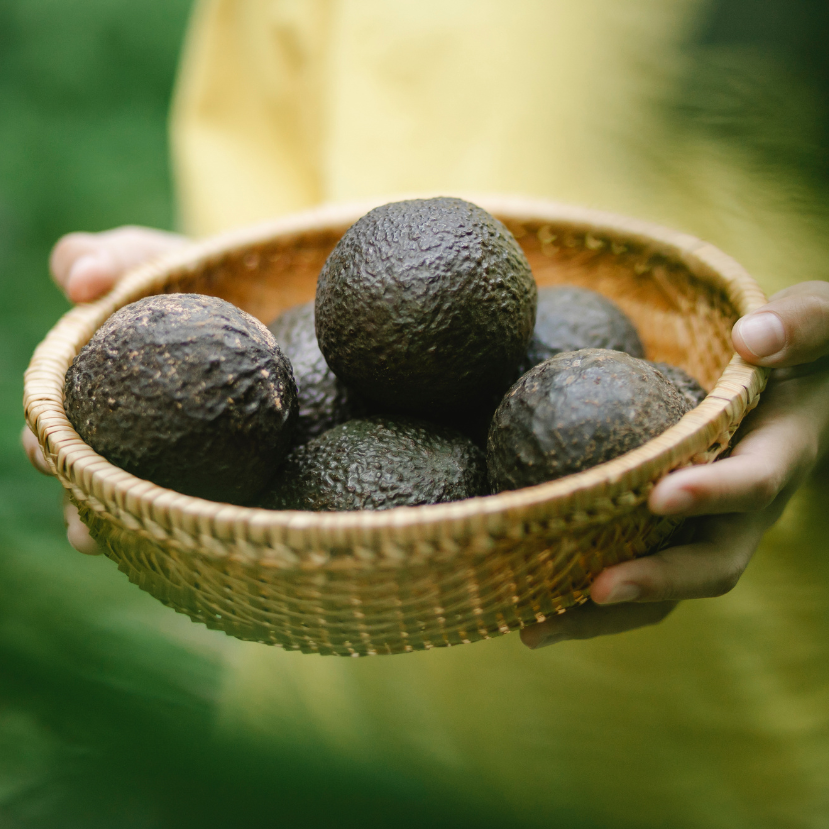 Nem érdemes esőerdőt irtani, ha avokádót akarsz exportálni – Új szabályozás Mexikóban