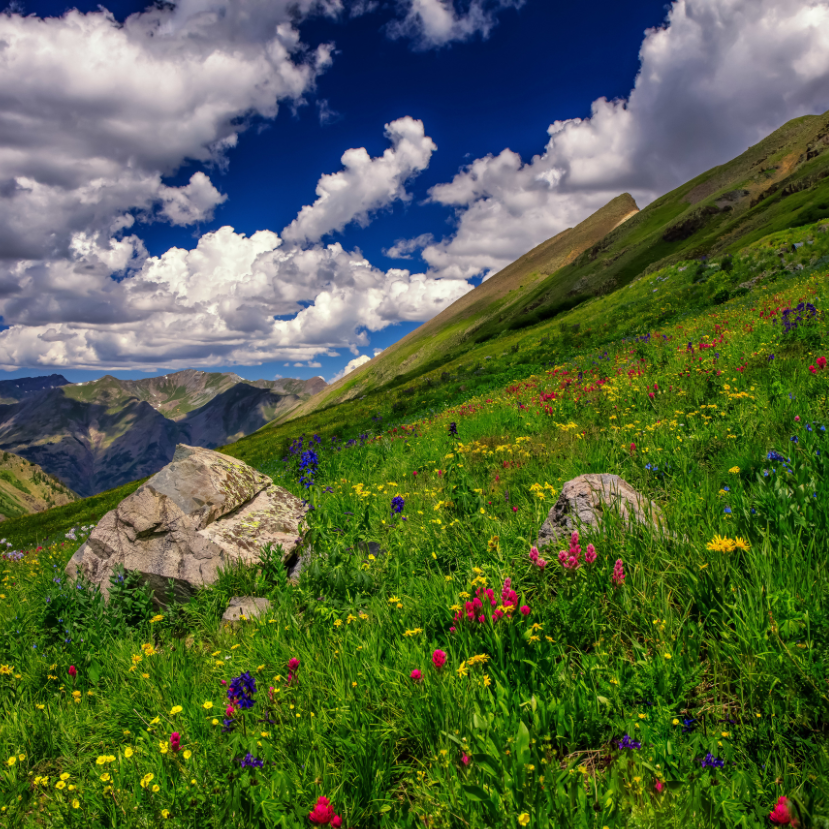 Már ott is pusztulnak a rovarok, ahol nem kellene nekik