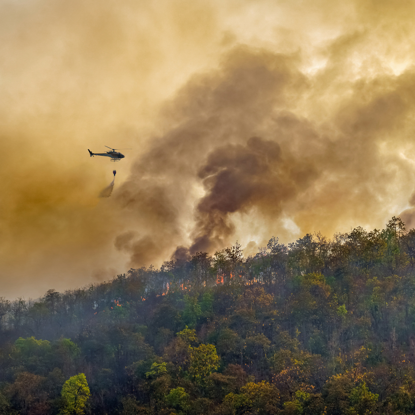 Európa erdőtüzeit már a klímaváltozás hajtja