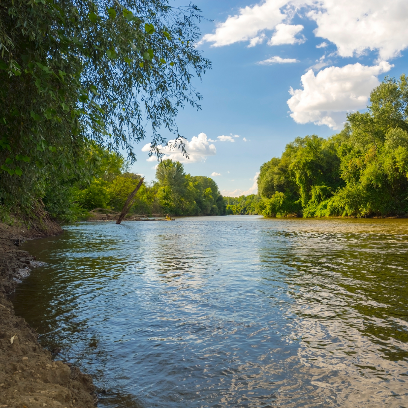 Új fajok jelentek meg az Alföldön?