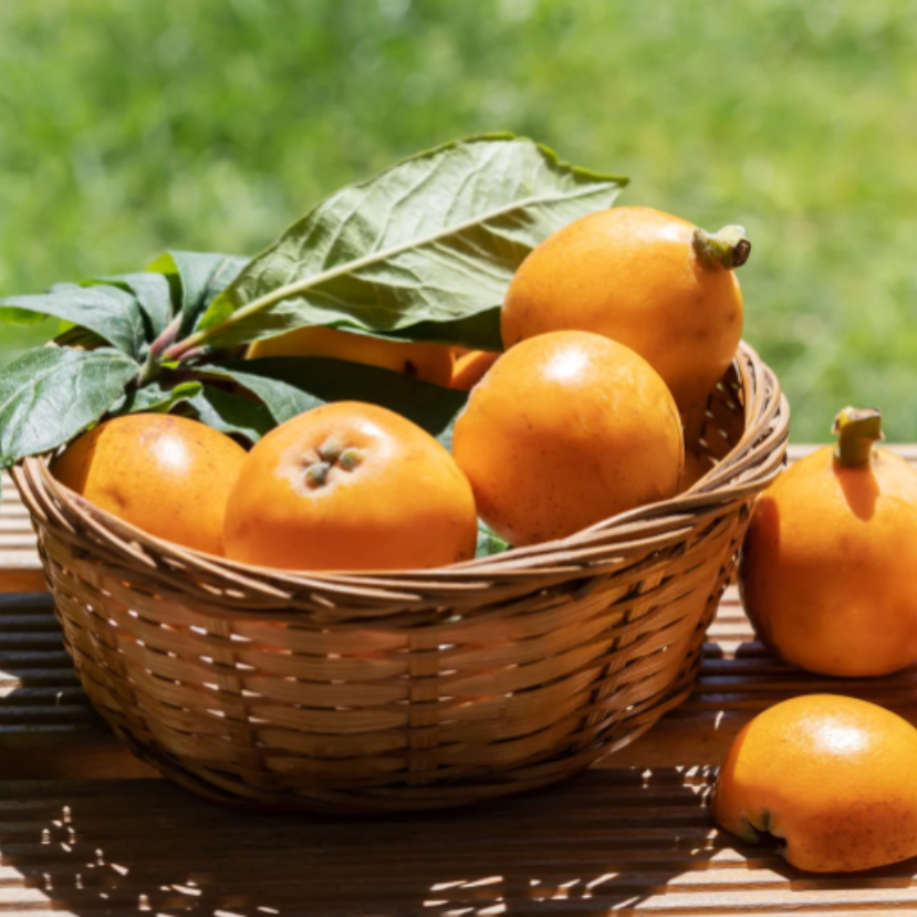 Naspolya – Tudtad, hogy még a komolyabb fagyokat is jól viseli?