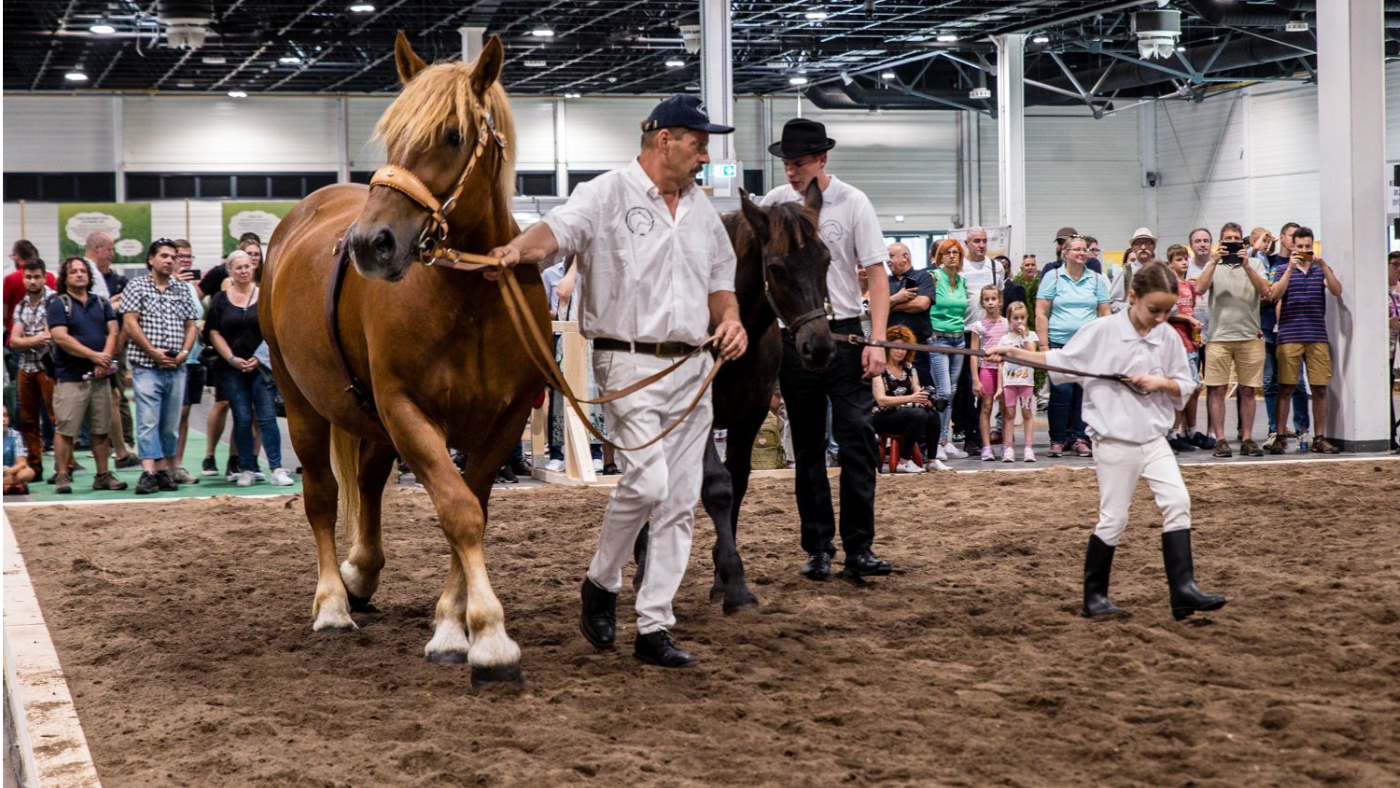 Lehet klímabarát Magyarország mezőgazdasága? – OMÉK-beszámoló