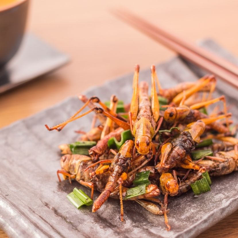 Te ennél rovarokat? 