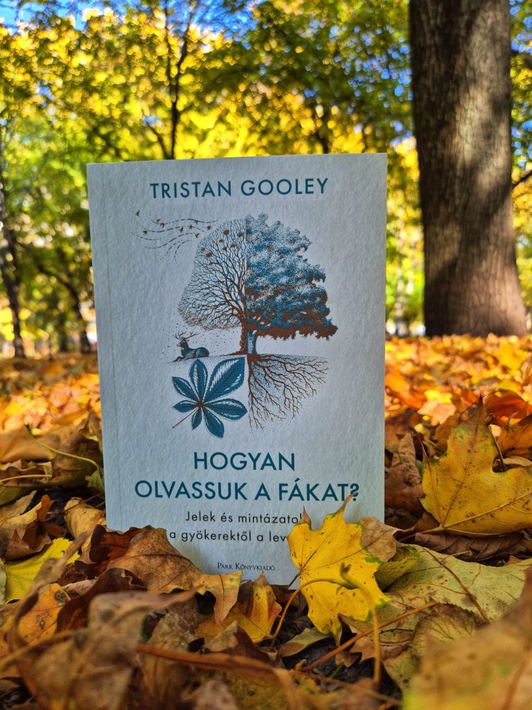 egy könyv az őszi levelek között