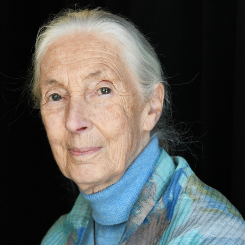 Elhunyt Jane Goodall