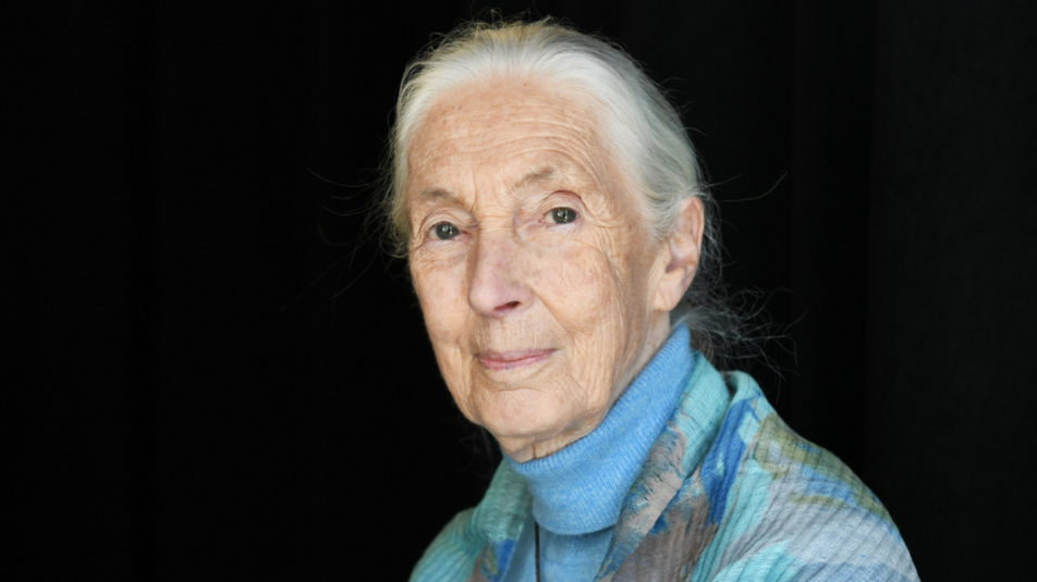 JaneGoodallnagy