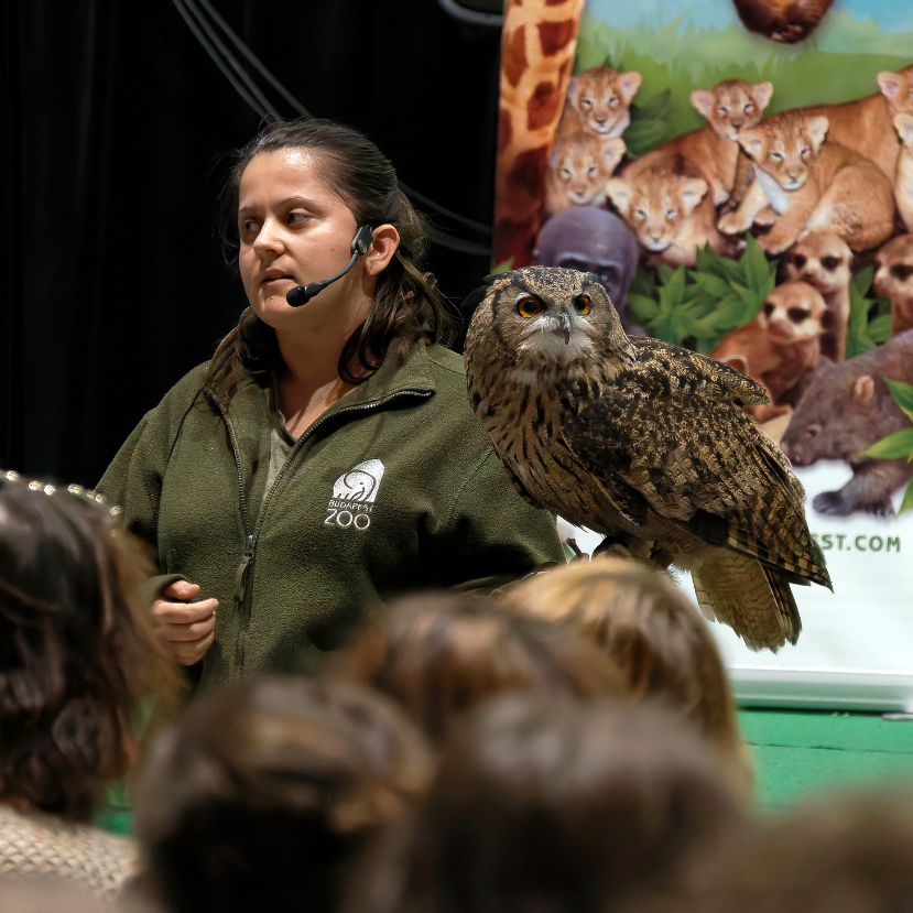 Megkezdődött a Világ Legnagyobb Tanórája programhét