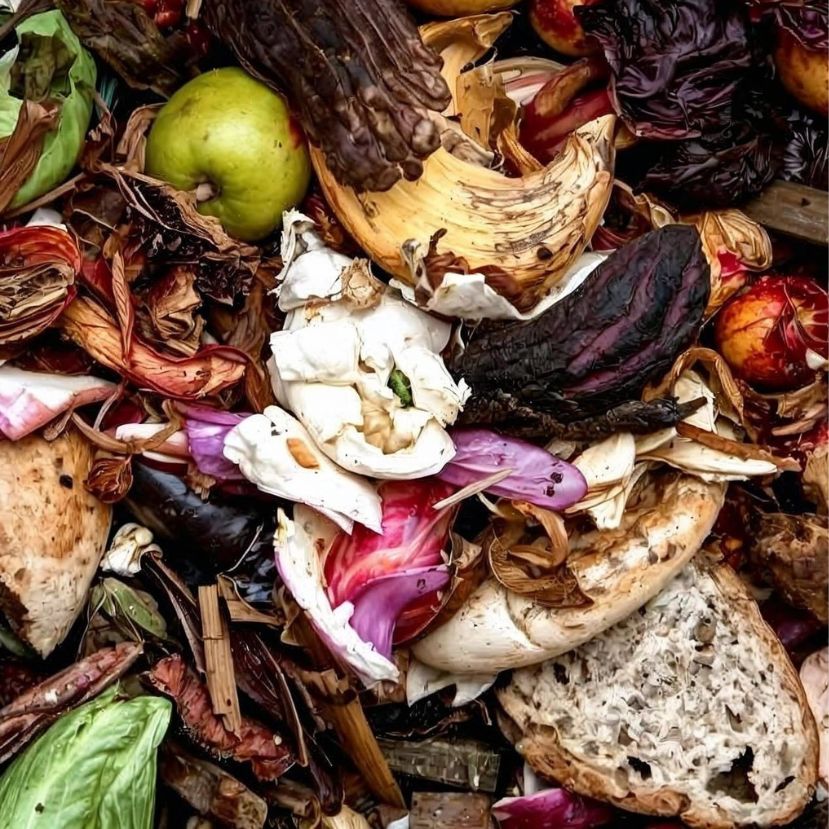 Egyelőre nem csökken az élelmiszer-pazarlás Európában