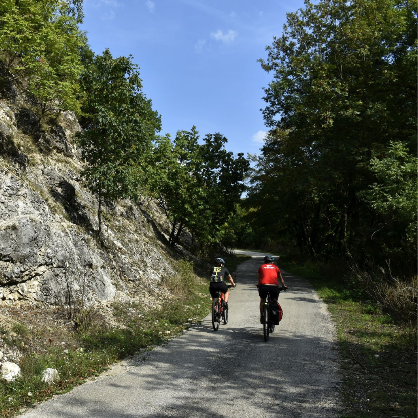 Szárliget és Csákvár között fut az Év Erdei Kerékpárútja!