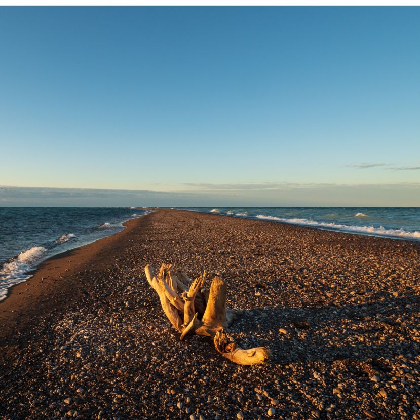 A koralloktól lassan el kell búcsúznunk, és a java csak azután jön