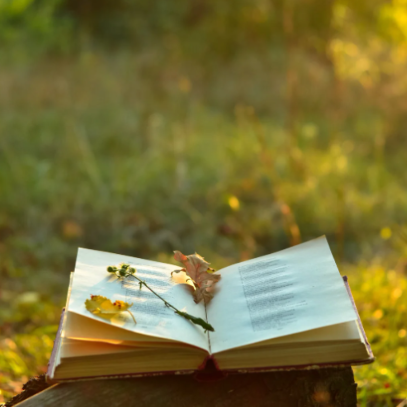 Építsük együtt a jövő könyvtárát!