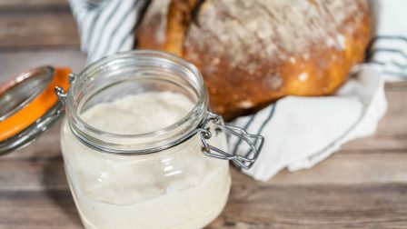 Sourdough starter