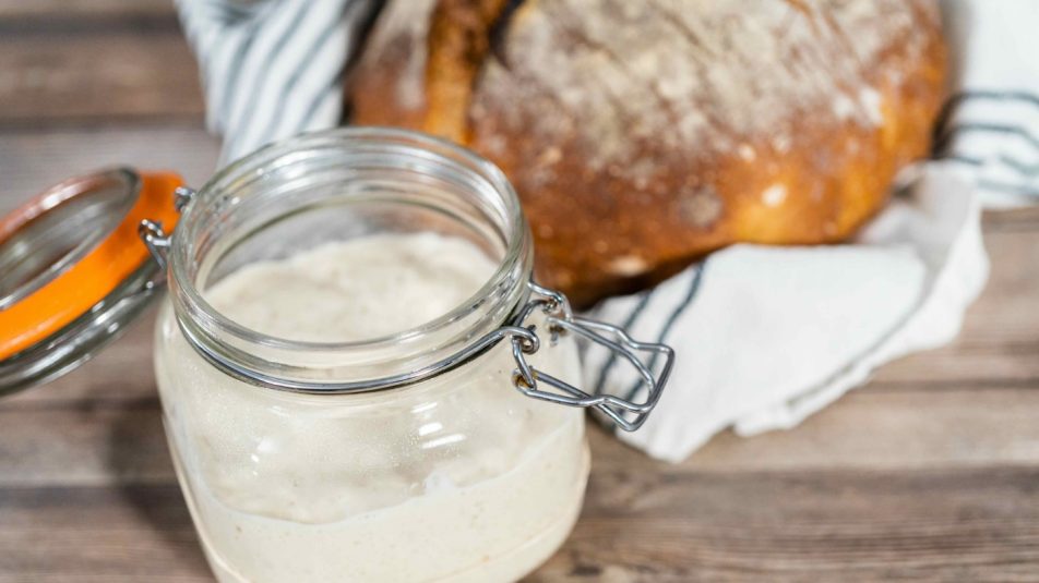 Sourdough starter