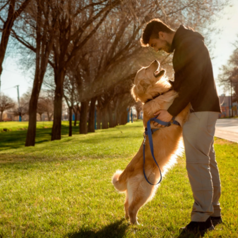 Idén is díjazták az állatvédelmi szakembereket