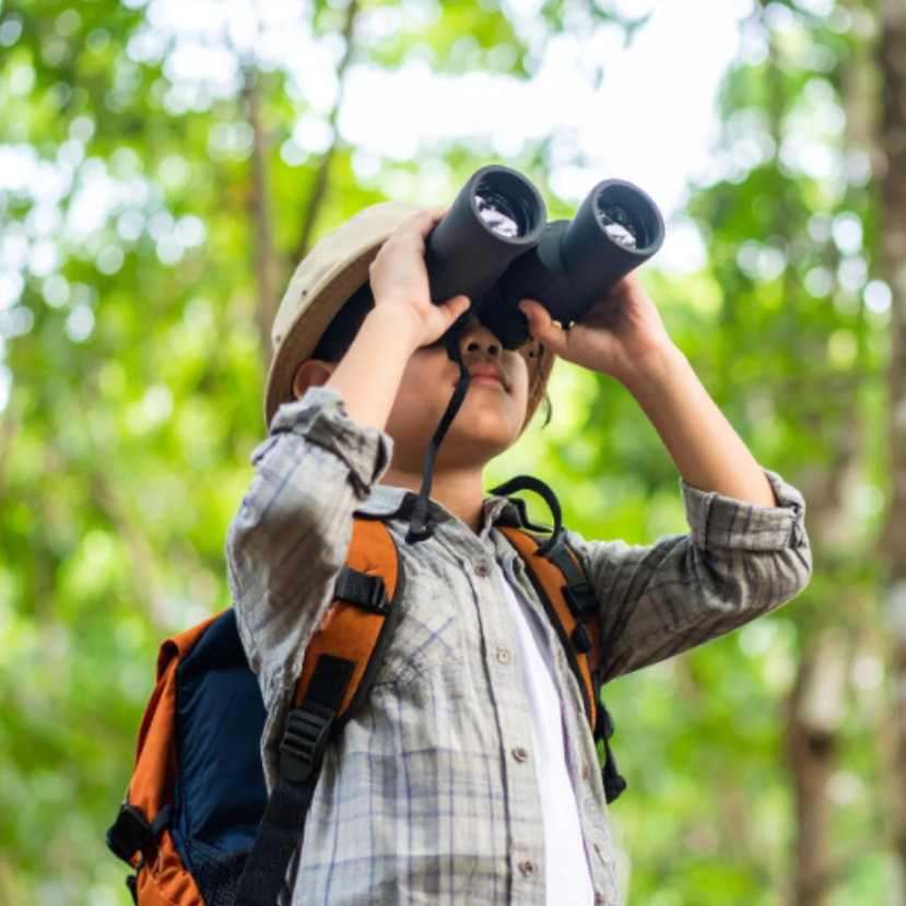 Előkelő helyeken végeztünk az Európai Madármegfigyelő Napokon