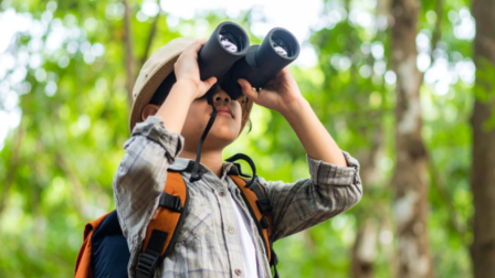 Előkelő helyeken végeztünk az Európai Madármegfigyelő Napokon