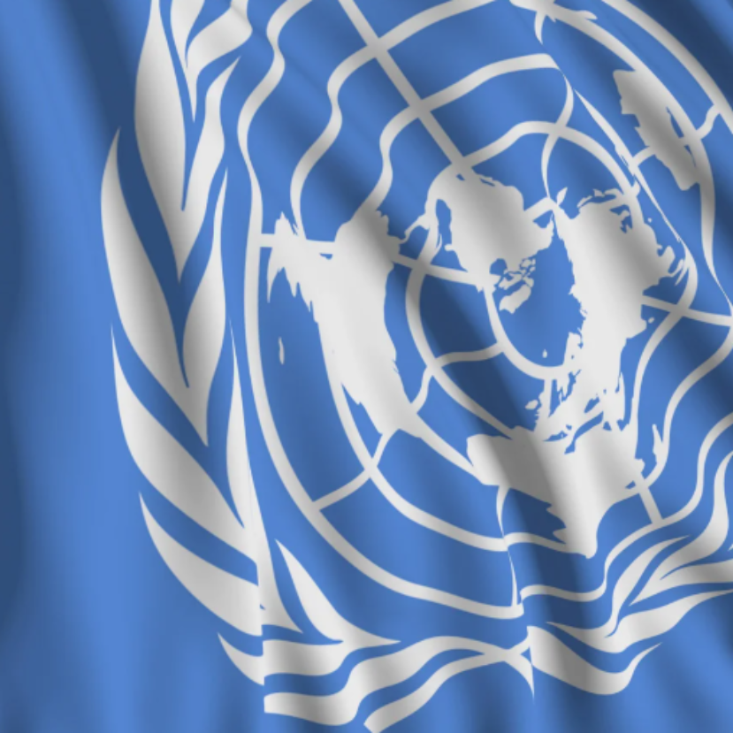 A fenntartható fejlődés gyorsítósávja – Íme a blitzscaling!