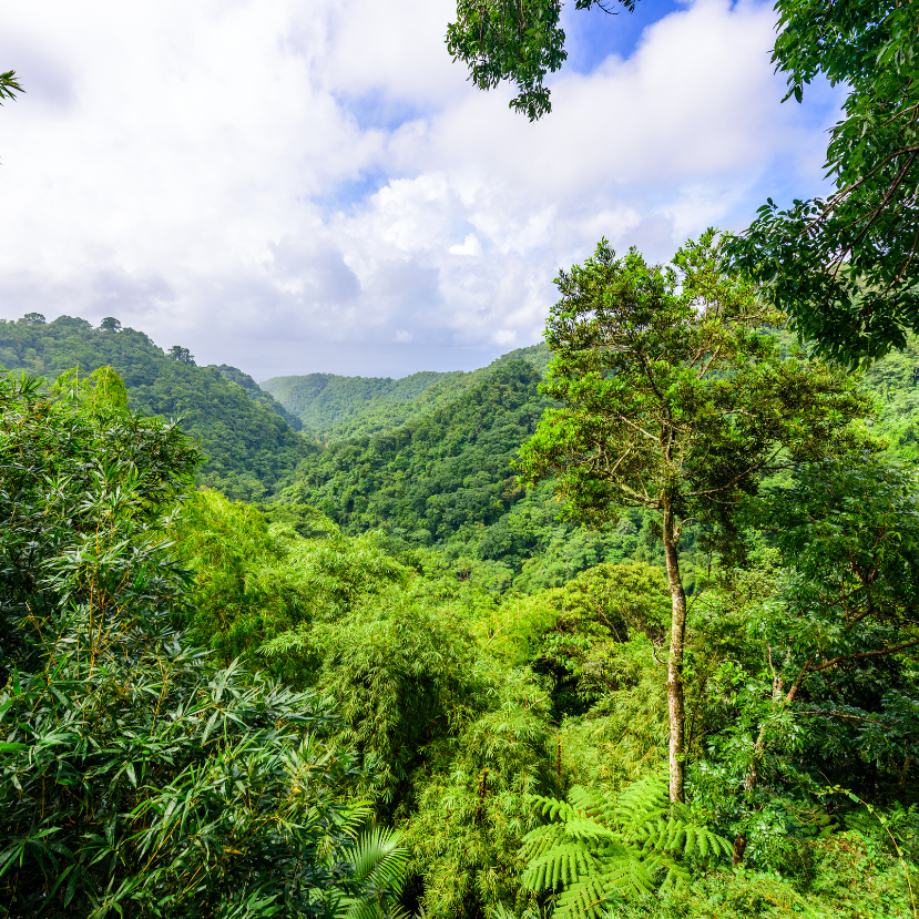 Felemás eredménnyel zárult a brazil klímacsúcs
