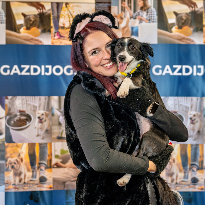 Itt a Gazdijogsi 2.0