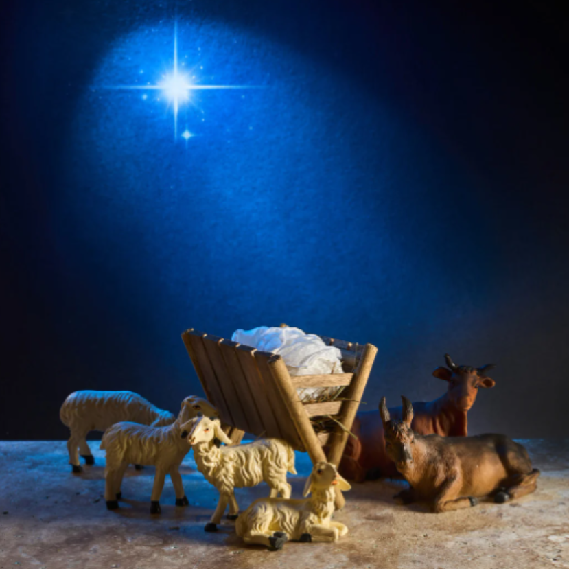 Mely állatok alkották a betlehemi jászol közösségét?