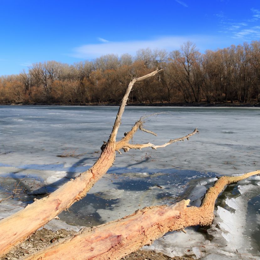 Hóviharban is szomjazik a Duna: közeleg a rekord alacsony vízállás?